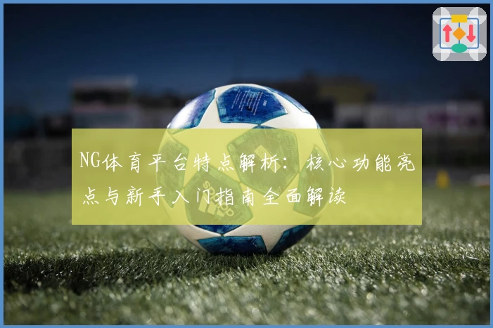 NG体育平台特点解析：核心功能亮点与新手入门指南全面解读