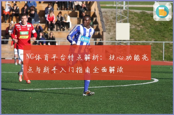 NG体育平台特点解析：核心功能亮点与新手入门指南全面解读